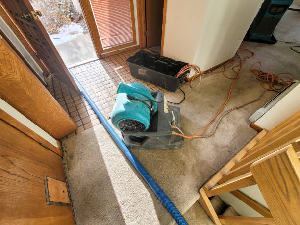 Water damage restoration experts in Parma, ID
