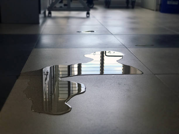 Best Water damage restoration cost  in Parma, ID