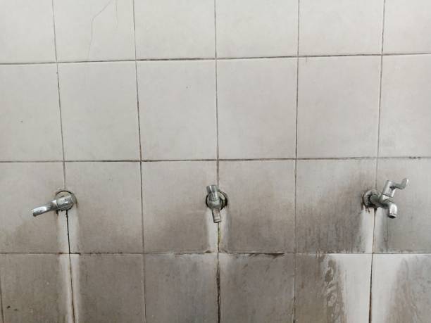 Best Water damage contractors near me  in Parma, ID